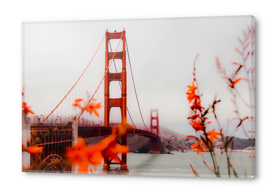 At Golden Gate bridge San Francisco California USA Acrylic prints by Timmy333