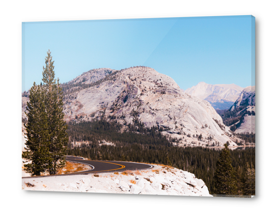 road at Yosemite national park USA Acrylic prints by Timmy333