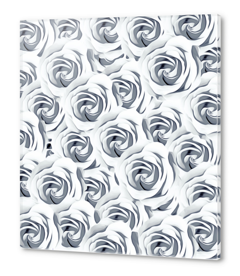 rose pattern texture abstract background in black and white Acrylic prints by Timmy333