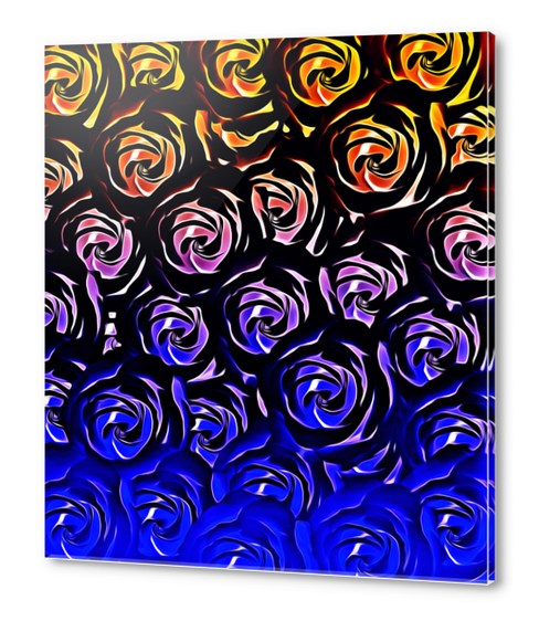 rose pattern texture abstract background in blue and red Acrylic prints by Timmy333