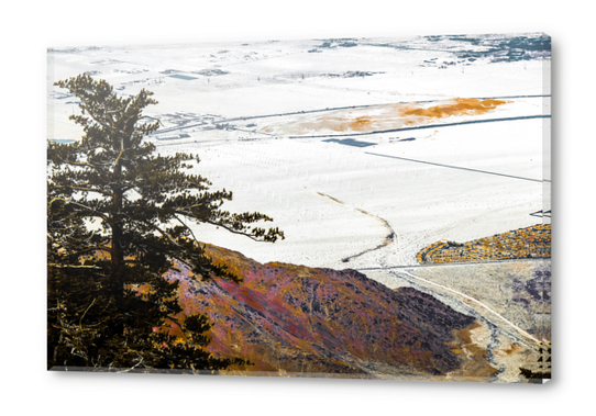 wind turbine in desert view from the mountain at Palm Springs, California, USA Acrylic prints by Timmy333