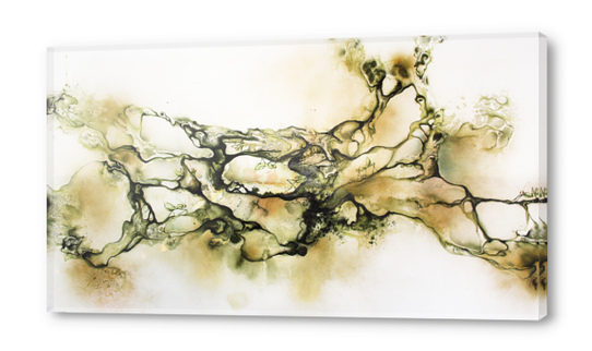 Swarm Acrylic prints by darling