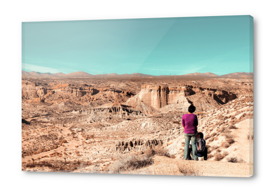 Desert landscape at Red Rock Canyon State Park California USA Acrylic prints by Timmy333