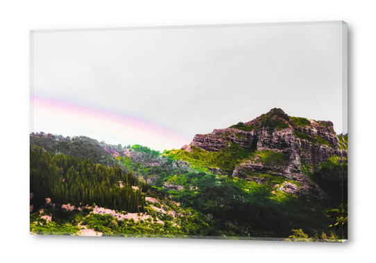 rainbow over the green tropical mountain at Kauai, Hawaii, USA Acrylic prints by Timmy333