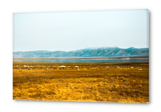 dry grass field and mountains background in California Acrylic prints by Timmy333