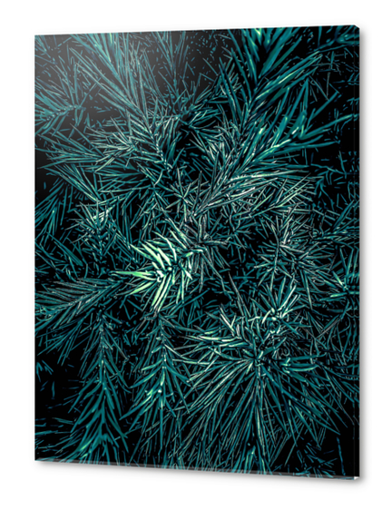 green spiky plant texture abstract background Acrylic prints by Timmy333