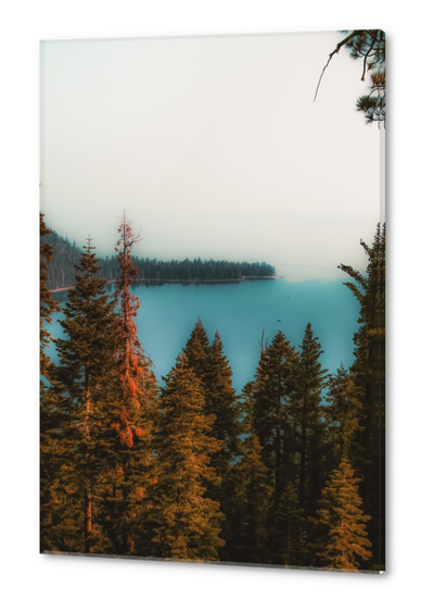 pine tree and lake scenic at Emerald Bay Lake Tahoe California USA Acrylic prints by Timmy333