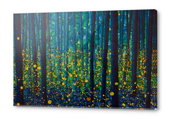 FIREFLIES Acrylic prints by db Waterman