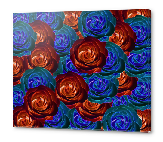 rose texture pattern abstract background in red and blue Acrylic prints by Timmy333