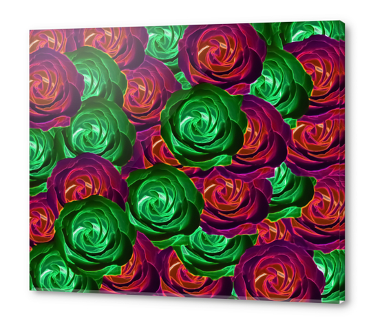 closeup rose pattern texture abstract background in red and green Acrylic prints by Timmy333