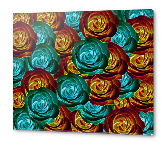 rose texture pattern abstract background in green red and yellow Acrylic prints by Timmy333