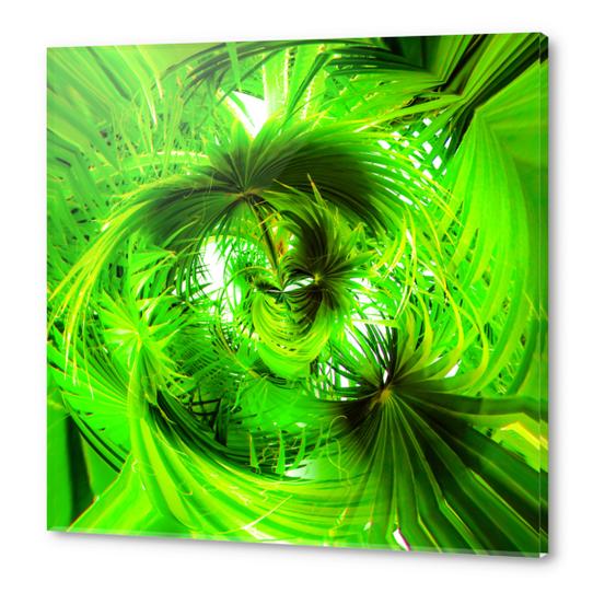 spiral green leaves texture abstract background Acrylic prints by Timmy333