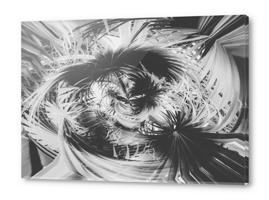 spiral palm leaves abstract background in black and white Acrylic prints by Timmy333