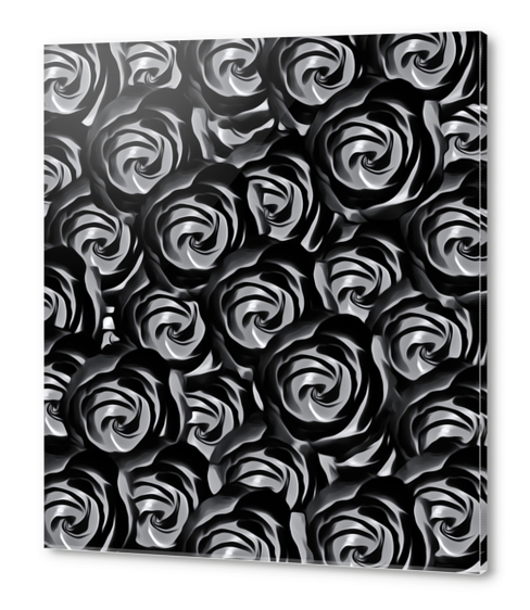 blooming rose pattern texture abstract background in black and white Acrylic prints by Timmy333