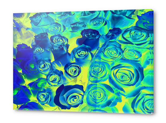 bouquet of roses texture pattern abstract in blue and green Acrylic prints by Timmy333