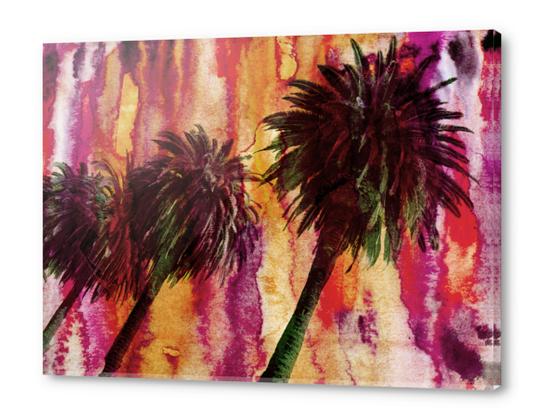 Hollywood Palms  Acrylic prints by Irena Orlov