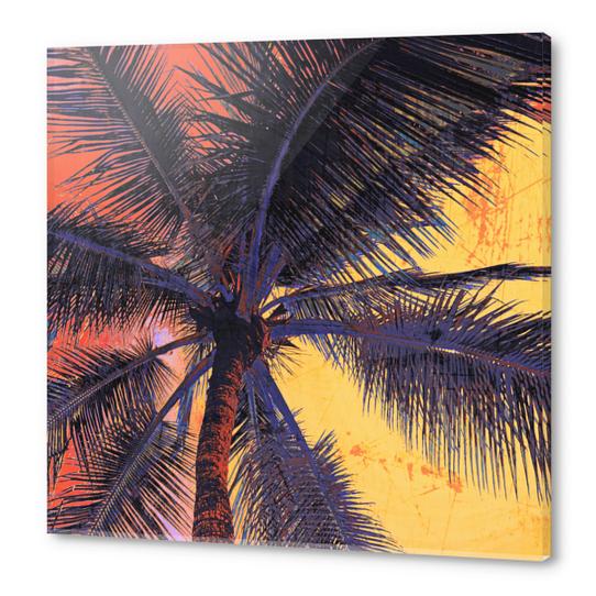  Palm Tree Sunset Acrylic prints by Irena Orlov