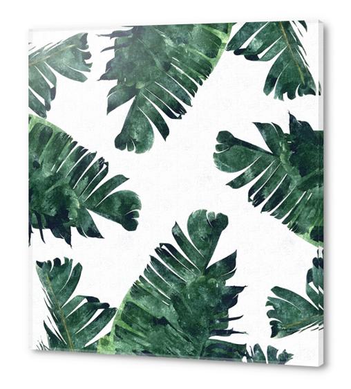 Banana Leaf Watercolor Acrylic prints by Uma Gokhale