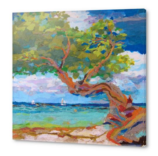 Beach Tree I Acrylic prints by Elizabeth St. Hilaire