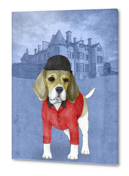 Beagle Acrylic prints by Barruf