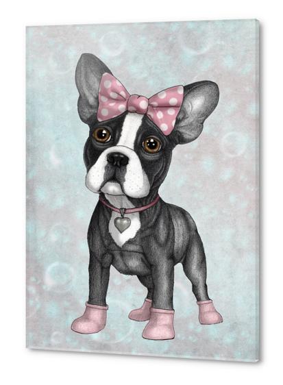 Sweet Frenchie Acrylic prints by Barruf