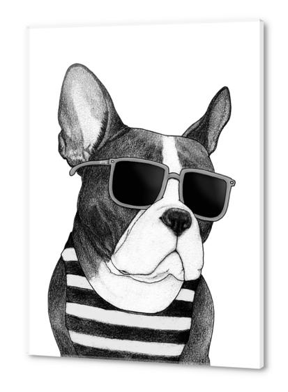 Frenchie Summer Style bw Acrylic prints by Barruf