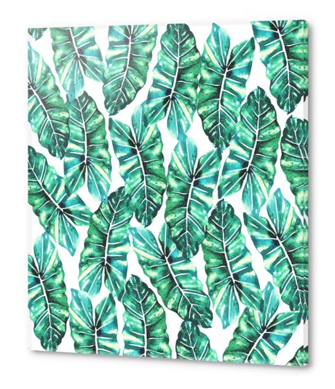 Leafy Wonder V2 Acrylic prints by Uma Gokhale