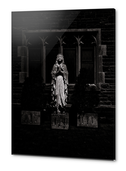 Mad Donna No 1 Acrylic prints by The Learning Curve Photography