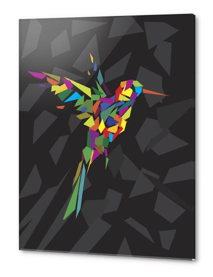 Rainbow Fly-Bird Acrylic prints by Alex Xela