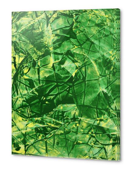 Raschegreen Acrylic prints by Jerome Hemain