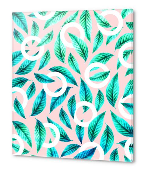 Tropical Nirvana Acrylic prints by Uma Gokhale