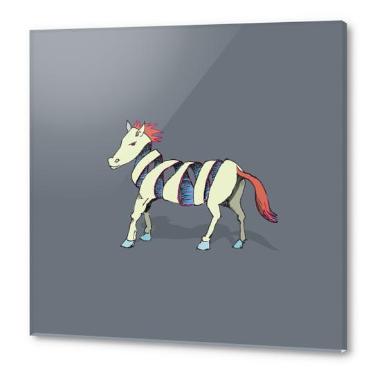 Rock Zebra Acrylic prints by Alex Xela