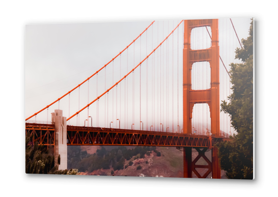 Closeup Golden Gate bridge San Francisco California USA Metal prints by Timmy333