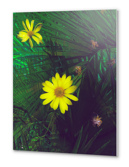 Blooming yellow flowers with green palm leaves background Metal prints by Timmy333