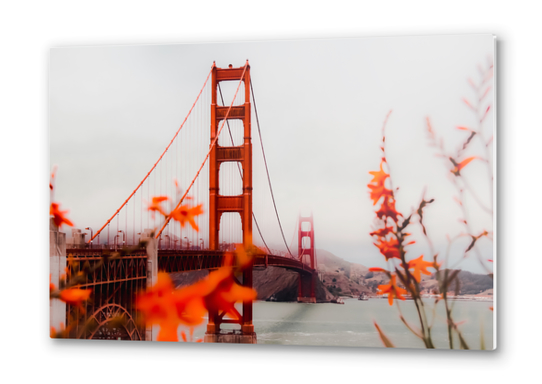 At Golden Gate bridge San Francisco California USA Metal prints by Timmy333