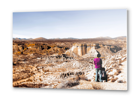 Desert landscape at Red Rock Canyon State Park California USA Metal prints by Timmy333