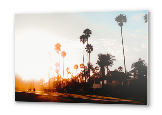 summer sunset sky with palm tree view in California USA Metal prints by Timmy333