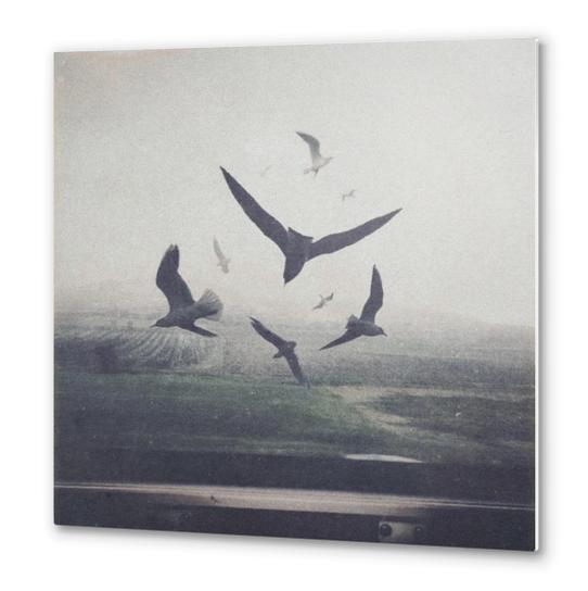 Birds Metal prints by yurishwedoff