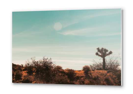 Cactus and desert view at Red Rock Canyon State Park California USA Metal prints by Timmy333