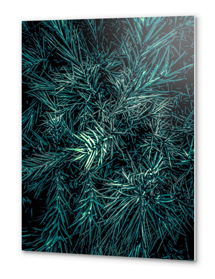 green spiky plant texture abstract background Metal prints by Timmy333