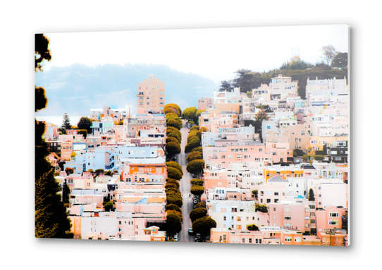 road with green tree and buildings at San Francisco California USA  Metal prints by Timmy333