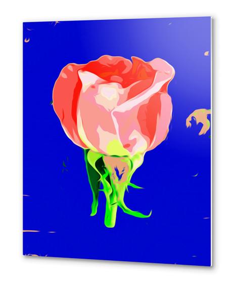 drawing red rose with dark blue background Metal prints by Timmy333