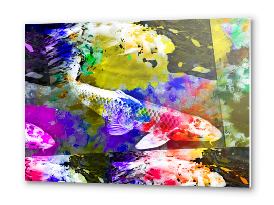 koi fish with painting texture abstract background in red blue yellow pink Metal prints by Timmy333