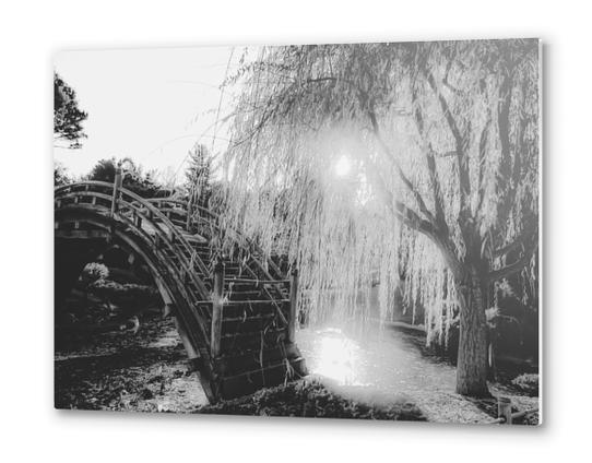 summer light at the garden in black and white Metal prints by Timmy333