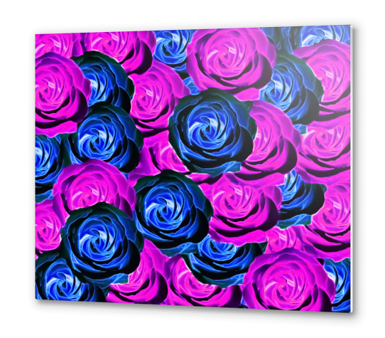 blooming rose texture pattern abstract background in pink and blue Metal prints by Timmy333