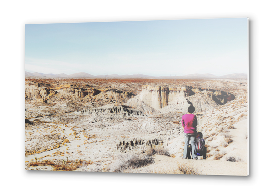 enjoy desert view in summer at Red Rock Canyon, California, USA Metal prints by Timmy333