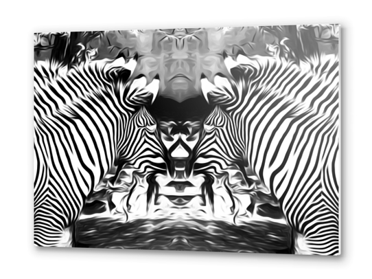 zebras in black and white Metal prints by Timmy333