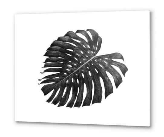 Monstera Metal prints by Nika_Akin