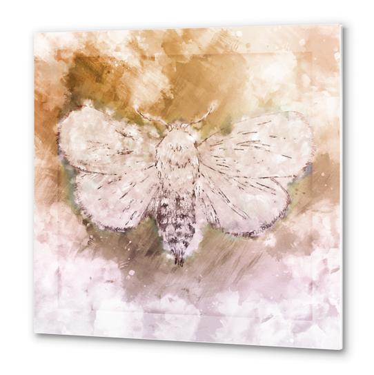  Moth Guided by Lunar Passion  Metal prints by JebusofDenmark