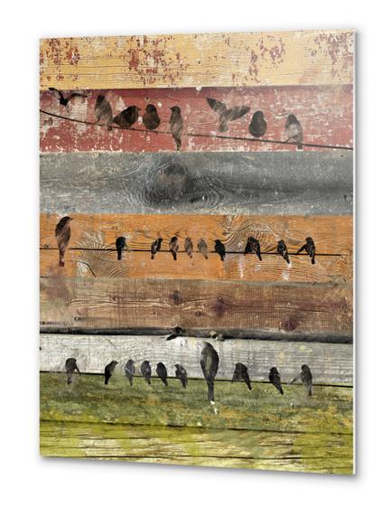 Bird composition II. Metal prints by Irena Orlov